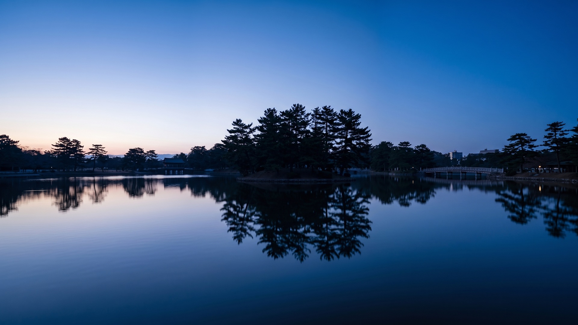 日の出前の静謐な大濠公園の池と、水面に上下対称に美しく反射する木々のシルエット。中央の島にはほのかな光が灯り、朝焼けの空が美しい、CUNAの「新たな夜明け（New dawn）」を表現した幻想的で穏やかな風景